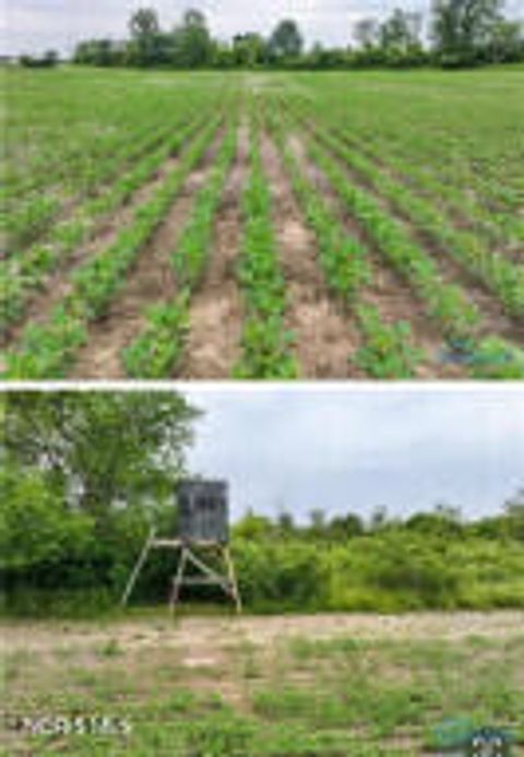 Tiny photo for 0 State Route 249, Ney, OH 43549 (MLS # 10007839)