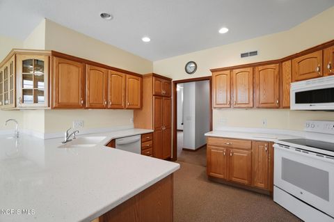 Tiny photo for 12969 County Road M, Wauseon, OH 43567 (MLS # 10004162)