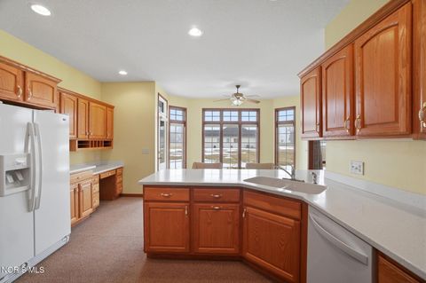 Tiny photo for 12969 County Road M, Wauseon, OH 43567 (MLS # 10004162)