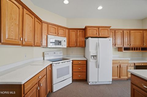 Tiny photo for 12969 County Road M, Wauseon, OH 43567 (MLS # 10004162)