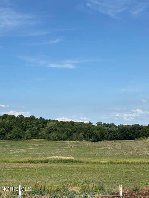 Tiny photo for 15636 State Route 49, Edon, OH 43518 (MLS # 10009719)