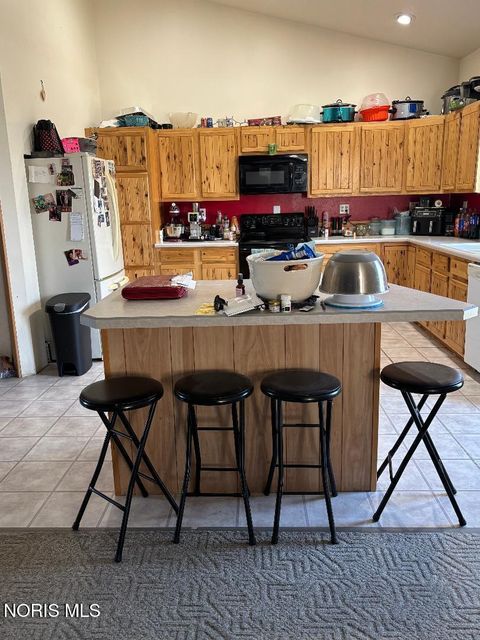 Tiny photo for 15636 State Route 49, Edon, OH 43518 (MLS # 10009719)