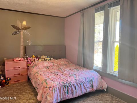 Tiny photo for 135 Mechanic Street, Clyde, OH 43410 (MLS # 10004899)