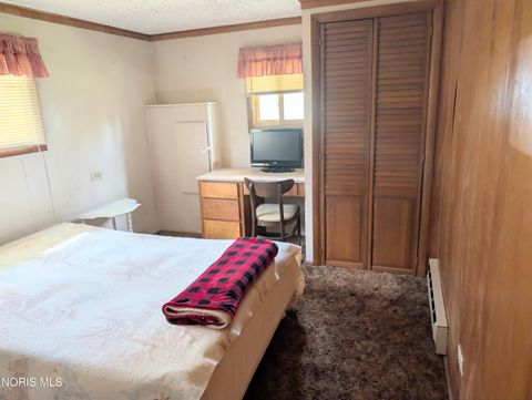 Tiny photo for 1319 Ohio 576, Bryan, OH 43506 (MLS # 10006073)