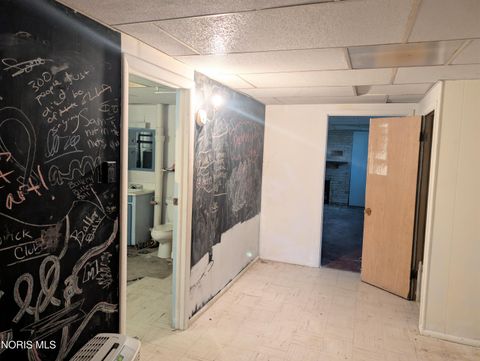 Tiny photo for 1319 Ohio 576, Bryan, OH 43506 (MLS # 10006073)