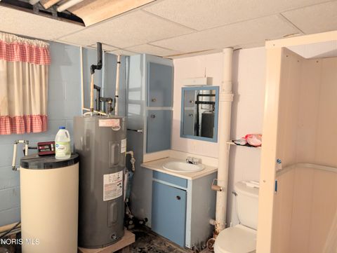 Tiny photo for 1319 Ohio 576, Bryan, OH 43506 (MLS # 10006073)