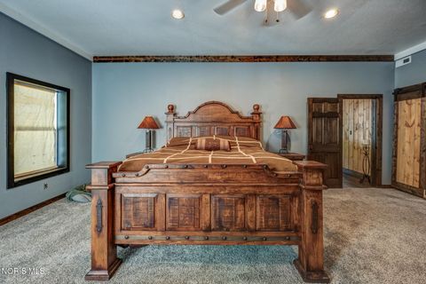 Tiny photo for 330 County Road 2, Liberty Center, OH 43532 (MLS # 10005424)