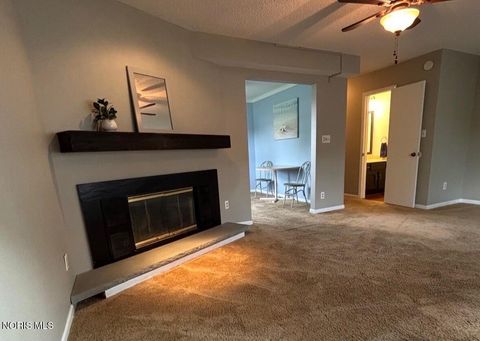 Tiny photo for 2630 7th Street #Apt B, Maumee, OH 43537 (MLS # 10006568)