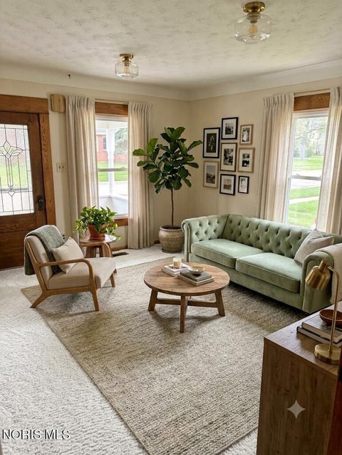 Tiny photo for 303 Brussel Street, Archbold, OH 43502 (MLS # 10013417)