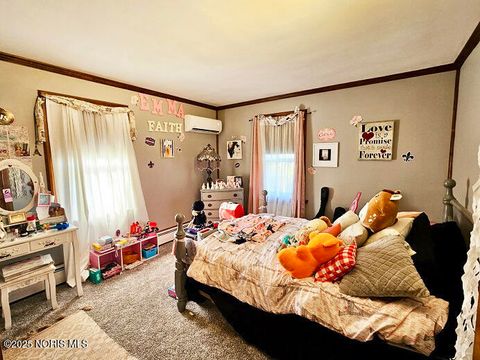 Tiny photo for 415 Fort Findlay Road, Woodville, OH 43469 (MLS # 10000702)