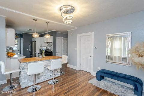 Tiny photo for 1135 Hawk Street, Toledo, OH 43612 (MLS # 10006753)