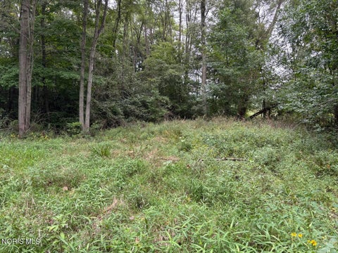 Tiny photo for Evansport Road, Defiance, OH 43512 (MLS # 10013905)