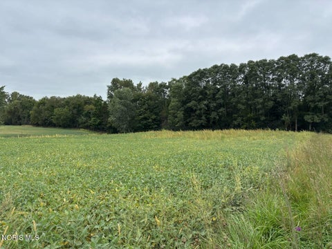Tiny photo for Evansport Road, Defiance, OH 43512 (MLS # 10013905)