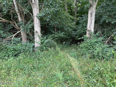 Tiny photo for Evansport Road, Defiance, OH 43512 (MLS # 10013905)