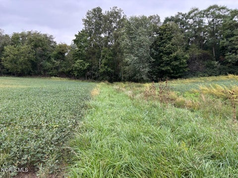 Tiny photo for Evansport Road, Defiance, OH 43512 (MLS # 10013905)