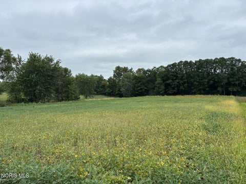 Tiny photo for Evansport Road, Defiance, OH 43512 (MLS # 10013905)
