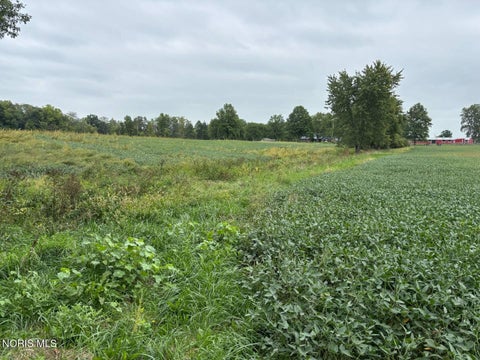 Tiny photo for Evansport Road, Defiance, OH 43512 (MLS # 10013905)