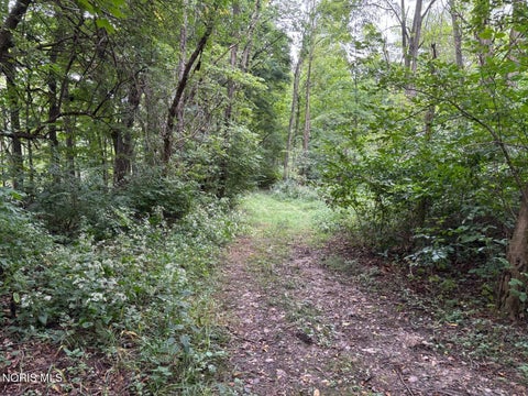 Tiny photo for Evansport Road, Defiance, OH 43512 (MLS # 10013905)