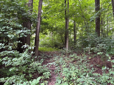 Tiny photo for Evansport Road, Defiance, OH 43512 (MLS # 10013905)