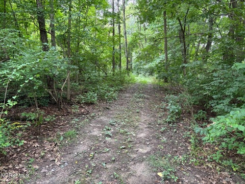 Tiny photo for Evansport Road, Defiance, OH 43512 (MLS # 10013905)