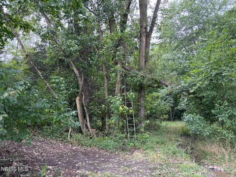 Tiny photo for Evansport Road, Defiance, OH 43512 (MLS # 10013905)