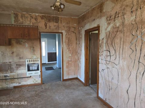 Tiny photo for 216 S Tarr Street, North Baltimore, OH 45872 (MLS # 10000533)