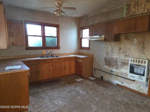 Tiny photo for 216 S Tarr Street, North Baltimore, OH 45872 (MLS # 10000533)