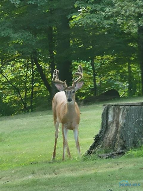 Vacant Land For Sale - Columbus Avenue<br/> Defiance County, Defiance, OH 43512