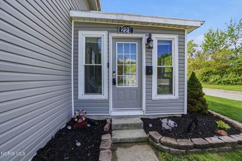 Tiny photo for 221 E Broadway Street, North Baltimore, OH 45872 (MLS # 10007741)