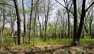 Vacant Land For Sale - 6046 Roan Road #198<br/> Lucas County, Sylvania, OH 43560