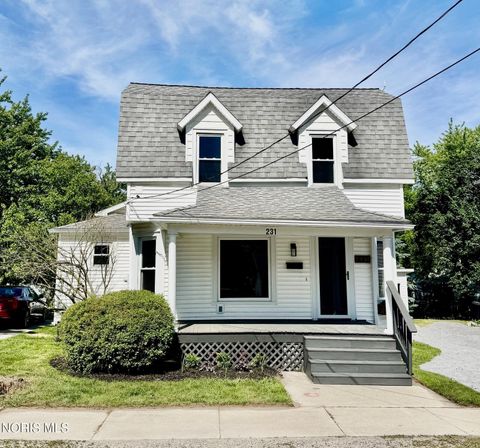 Photo of 231 Mckinley Street, Wauseon, OH 43567 (MLS # 10008469)