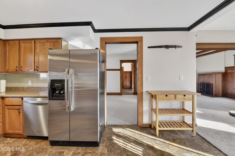 Tiny photo for 316 E Oak Street, Wauseon, OH 43567 (MLS # 10004947)