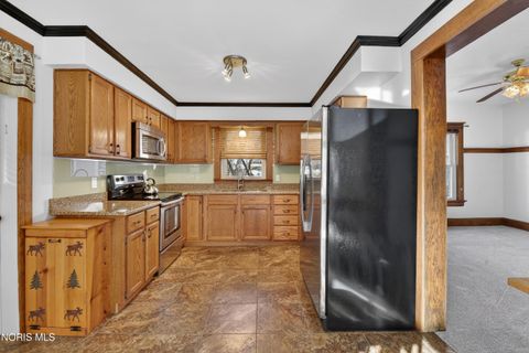 Tiny photo for 316 E Oak Street, Wauseon, OH 43567 (MLS # 10004947)