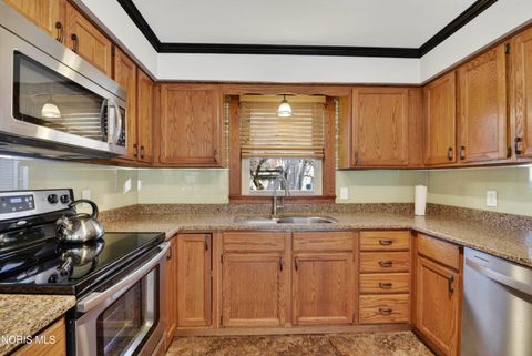 Tiny photo for 316 E Oak Street, Wauseon, OH 43567 (MLS # 10004947)