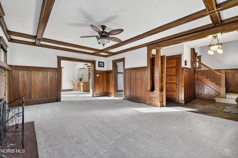 Tiny photo for 316 E Oak Street, Wauseon, OH 43567 (MLS # 10004947)