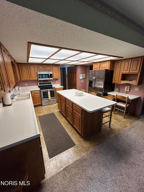 Tiny photo for 335 S Williams Street, Paulding, OH 45879 (MLS # 10006705)