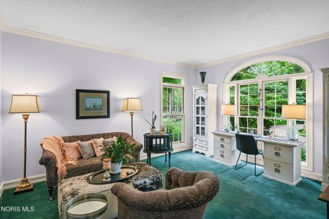 Tiny photo for 29036 E River Road, Perrysburg, OH 43551 (MLS # 10008400)