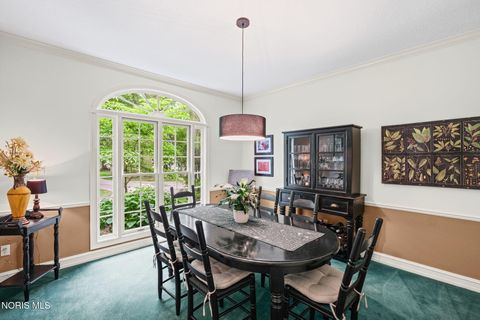 Tiny photo for 29036 E River Road, Perrysburg, OH 43551 (MLS # 10008400)