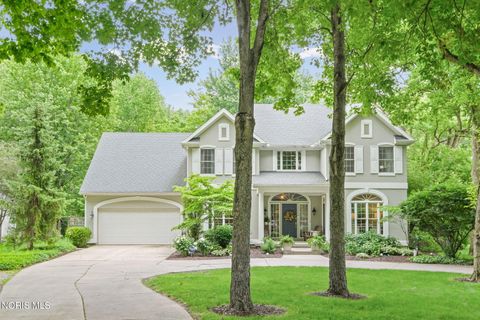 Tiny photo for 29036 E River Road, Perrysburg, OH 43551 (MLS # 10008400)