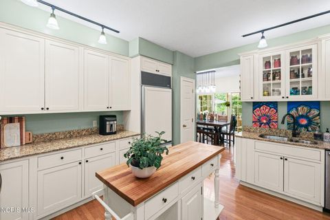 Tiny photo for 29036 E River Road, Perrysburg, OH 43551 (MLS # 10008400)