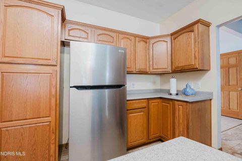 Tiny photo for 2690 County Road 213, Clyde, OH 43410 (MLS # 10004401)