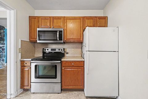 Tiny photo for 108 S Granville Boulevard, Fremont, OH 43420 (MLS # 10004271)