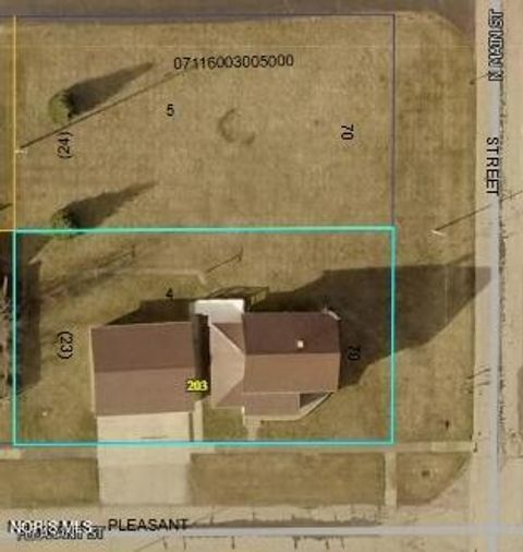 Tiny photo for 203 Pleasant Street, Edon, OH 43518 (MLS # 10009994)