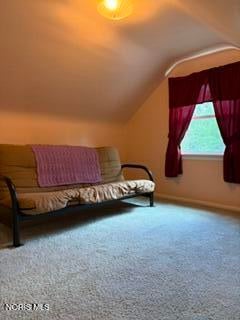Tiny photo for 375 Melmore Street, Tiffin, OH 44883 (MLS # 10010312)