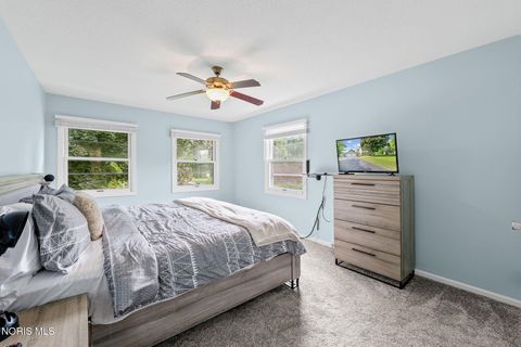 Tiny photo for 441 Canal Court, Waterville, OH 43566 (MLS # 10008381)
