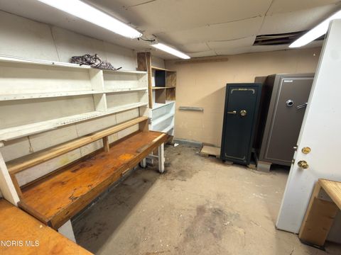 Tiny photo for 6586 State Route 15, Defiance, OH 43512 (MLS # 10008999)