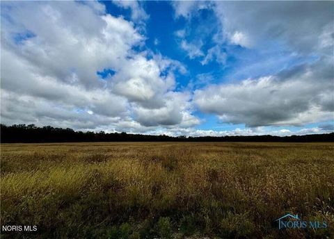 Photo of 0 Switzer Road, Defiance, OH 43512 (MLS # 10007828)