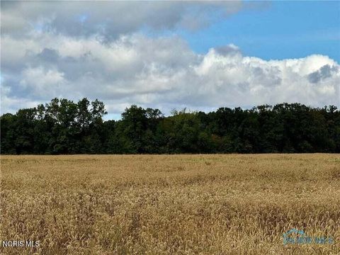 Tiny photo for 0 Switzer Road, Defiance, OH 43512 (MLS # 10007828)