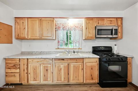 Tiny photo for 356 S Belmore Street, Leipsic, OH 45856 (MLS # 10004353)