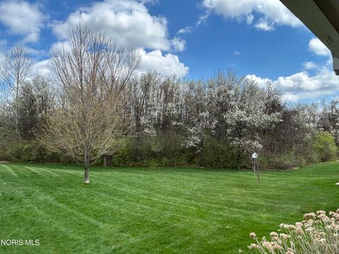 Tiny photo for 812 Meadowchase Lane, Toledo, OH 43615 (MLS # 10006350)